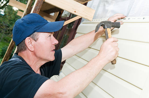 Best Basement Cleanout  in Coloma, MI